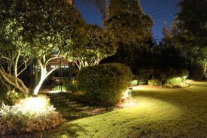 Outdoor landscape lighting done by The Plant Gallery