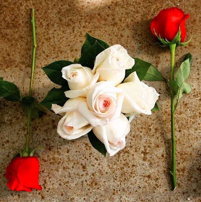 Rose popular flower meanings