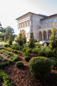 The Plant Gallery, Landscape Design Services