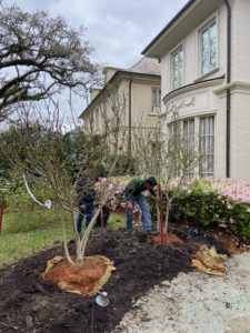 The Plant Gallery, Landscaping
