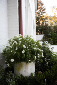 Ritner Residential Landscape Backyard Garden