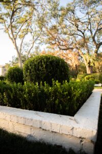 Residential Landscape / Hardscape