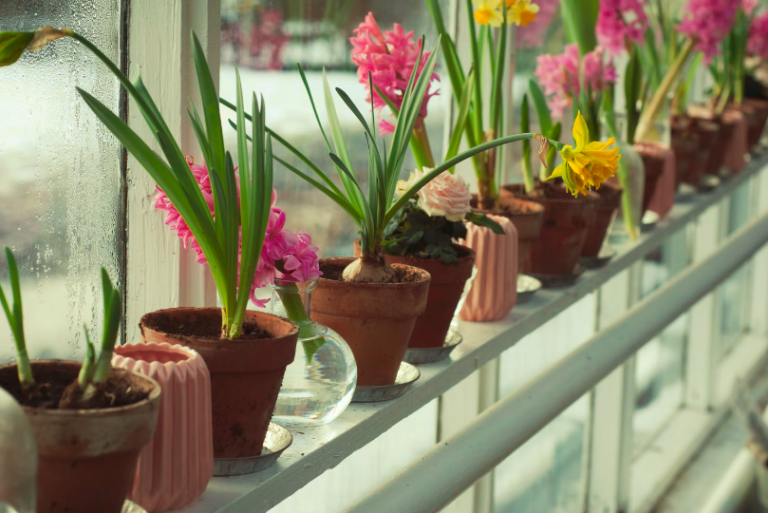 Potted plants and flowers sitting on a windowsill indoors