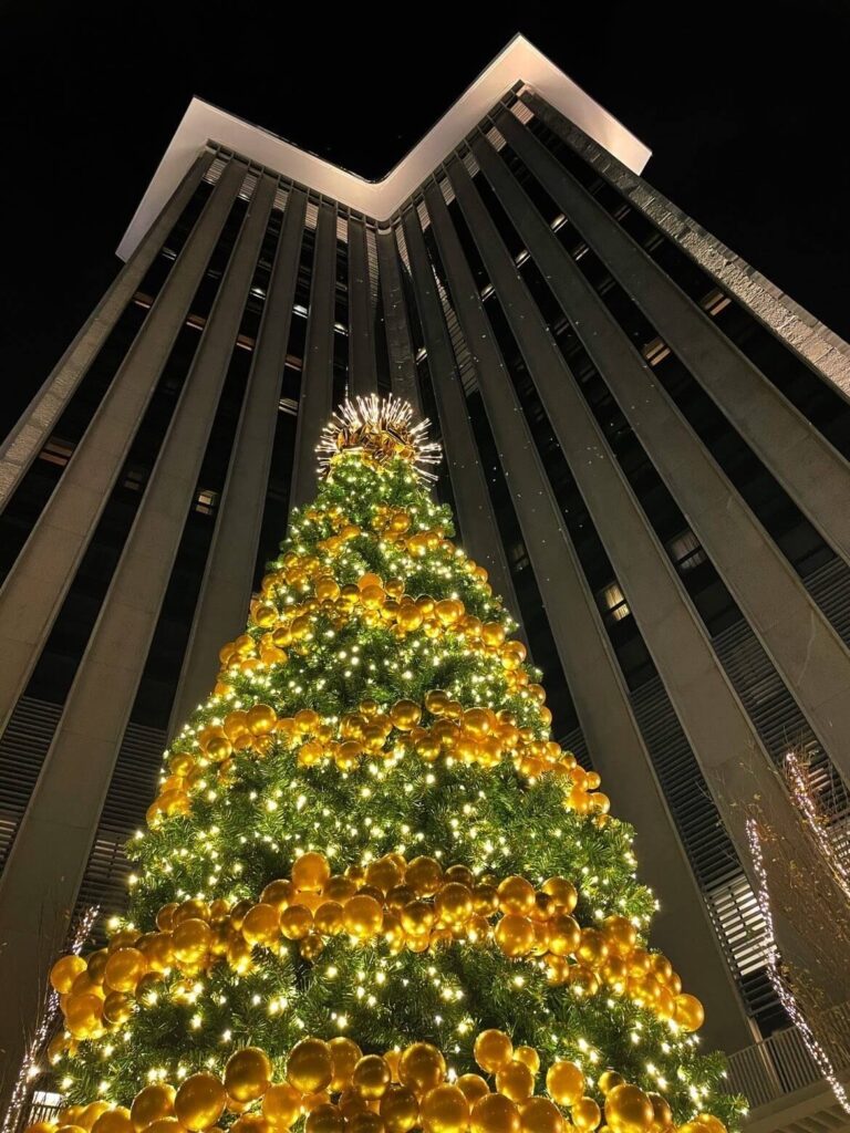 A Christmas tree with glowing lights reaching for the sky outside the Four Seasons.