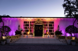 The Plant Gallery Holiday Decor in New Orleans