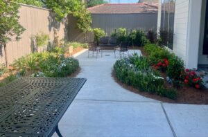 A backyard walkway with landscaping