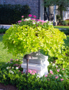 TPG Jefferson front yard-9991