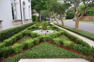 TPG Landscape Design