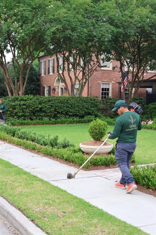 cf928276 92fc 49be 9787 aa523825fb2e